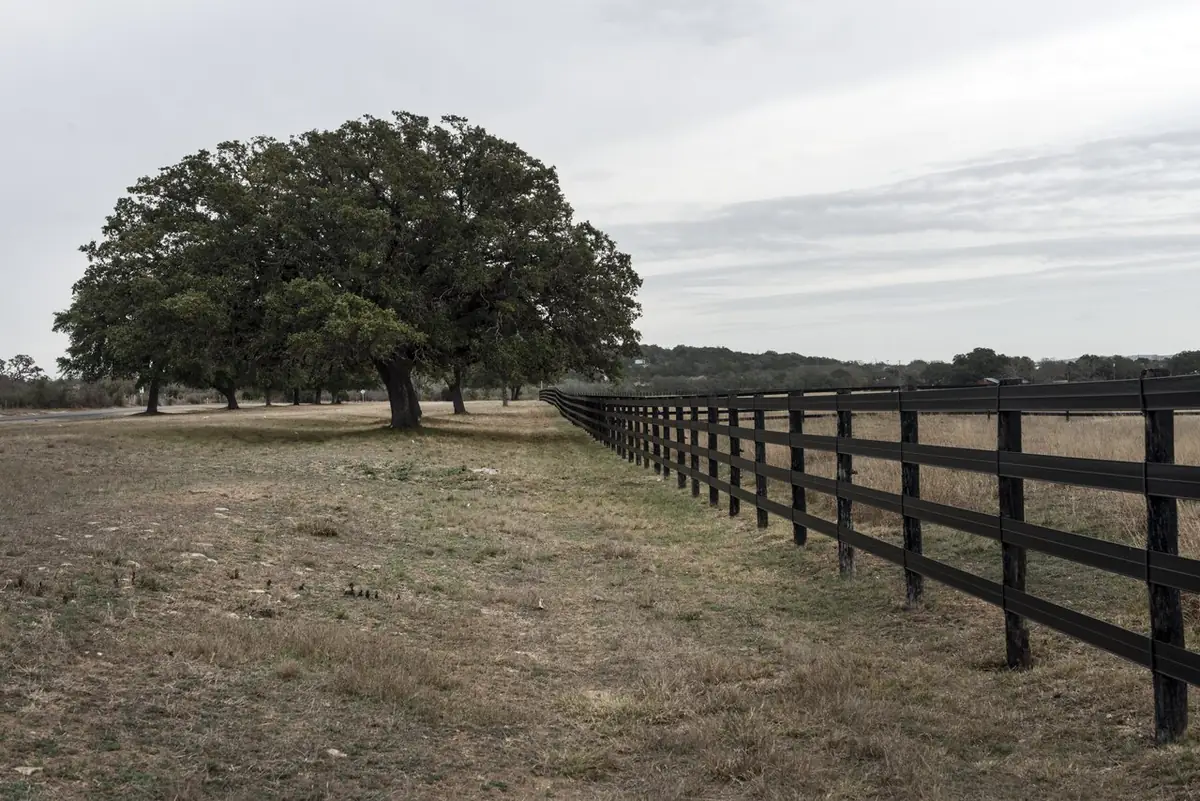 A live oak and a ranch fence line on rural Bandera County property